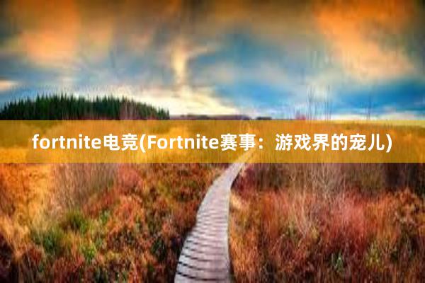 fortnite电竞(Fortnite赛事：游戏界的宠儿)