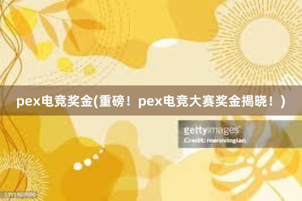 pex电竞奖金(重磅！pex电竞大赛奖金揭晓！)