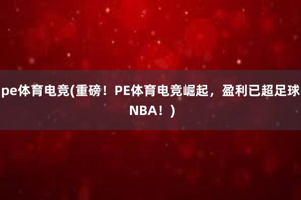 pe体育电竞(重磅！PE体育电竞崛起，盈利已超足球 NBA！)