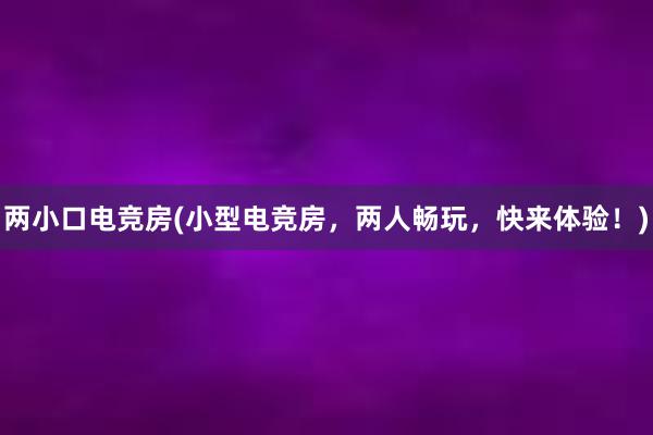 两小口电竞房(小型电竞房，两人畅玩，快来体验！)