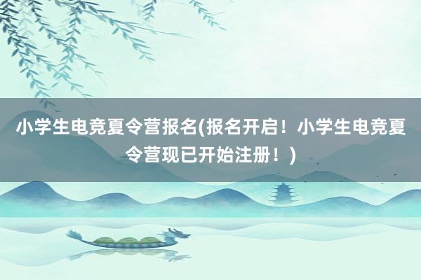 小学生电竞夏令营报名(报名开启！小学生电竞夏令营现已开始注册！)