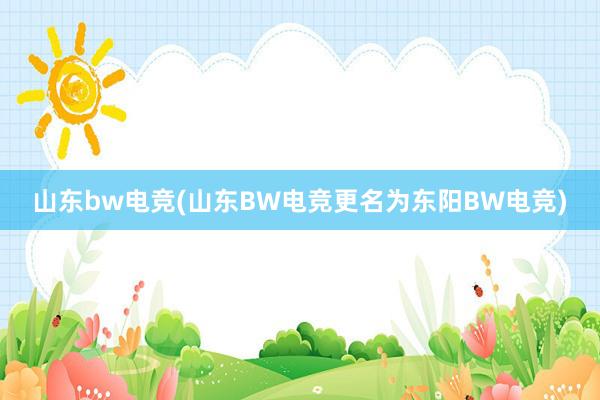 山东bw电竞(山东BW电竞更名为东阳BW电竞)