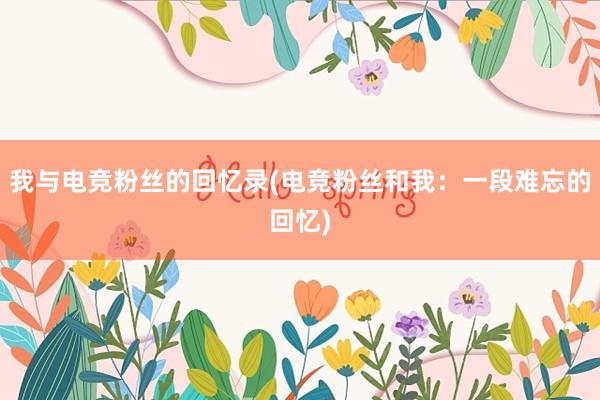 我与电竞粉丝的回忆录(电竞粉丝和我：一段难忘的回忆)