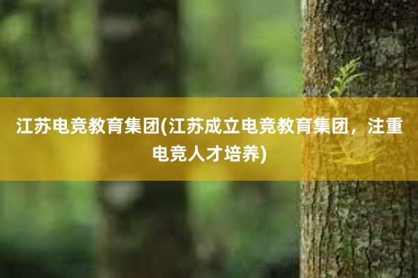 江苏电竞教育集团(江苏成立电竞教育集团，注重电竞人才培养)