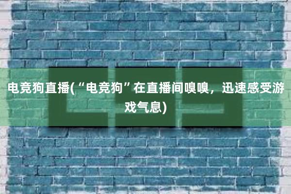 电竞狗直播(“电竞狗”在直播间嗅嗅，迅速感受游戏气息)