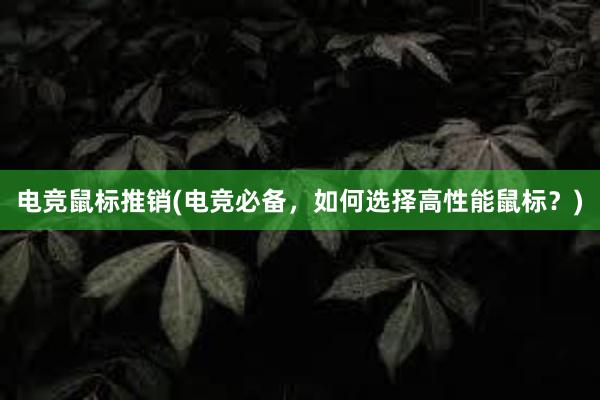 电竞鼠标推销(电竞必备，如何选择高性能鼠标？)