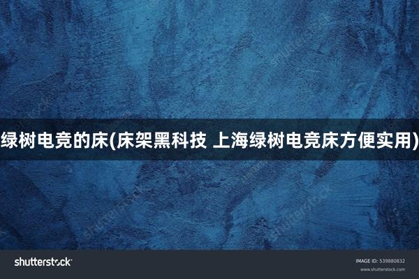 绿树电竞的床(床架黑科技 上海绿树电竞床方便实用)