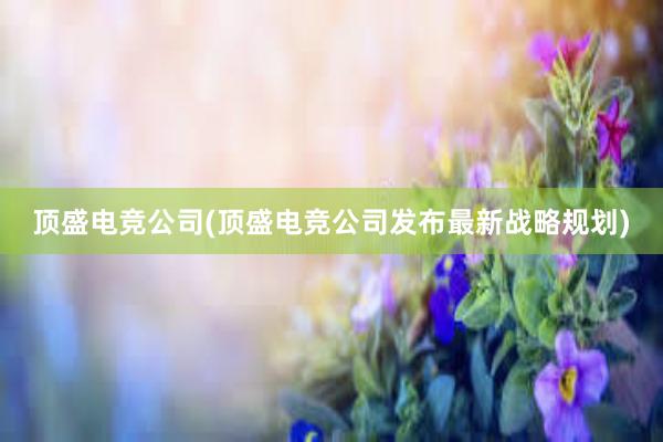 顶盛电竞公司(顶盛电竞公司发布最新战略规划)