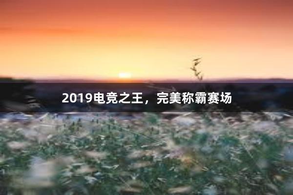 2019电竞之王，完美称霸赛场