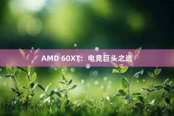 AMD 60XT：电竞巨头之选