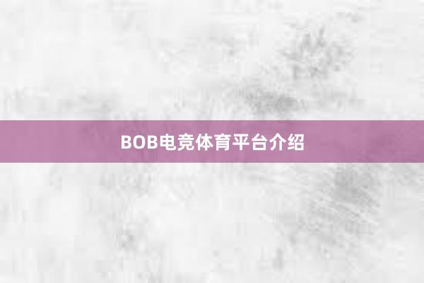 BOB电竞体育平台介绍