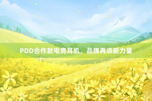 PDD合作款电竞耳机，品牌再添新力量