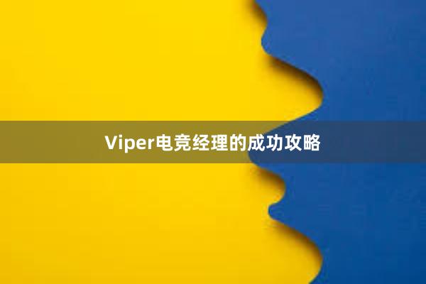 Viper电竞经理的成功攻略