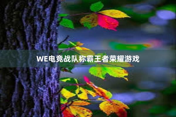 WE电竞战队称霸王者荣耀游戏