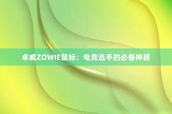 卓威ZOWIE鼠标：电竞选手的必备神器