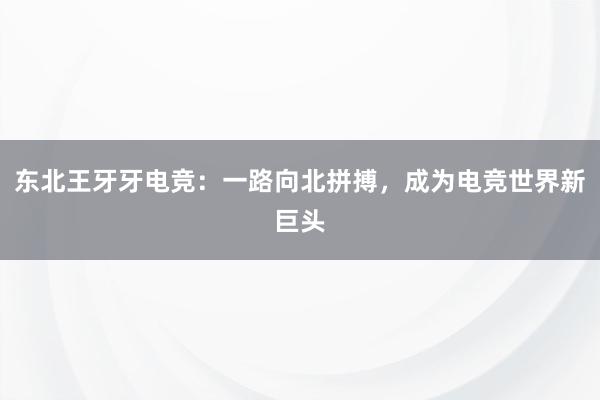 东北王牙牙电竞：一路向北拼搏，成为电竞世界新巨头