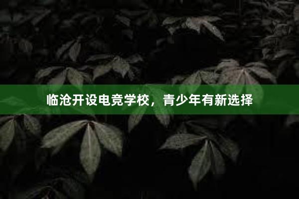 临沧开设电竞学校，青少年有新选择