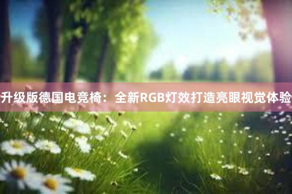 升级版德国电竞椅：全新RGB灯效打造亮眼视觉体验