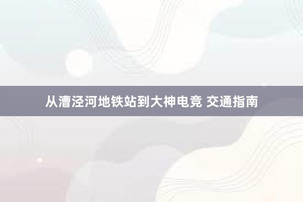 从漕泾河地铁站到大神电竞 交通指南