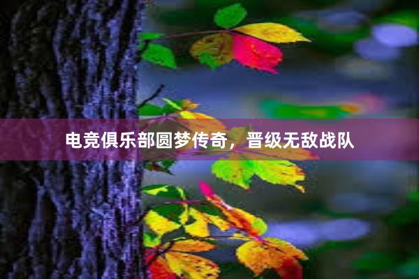 电竞俱乐部圆梦传奇，晋级无敌战队