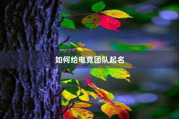 如何给电竞团队起名