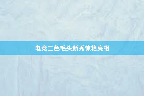 电竞三色毛头新秀惊艳亮相