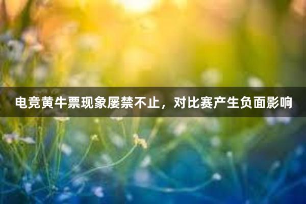 电竞黄牛票现象屡禁不止，对比赛产生负面影响