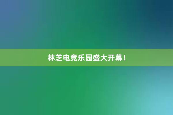 林芝电竞乐园盛大开幕！