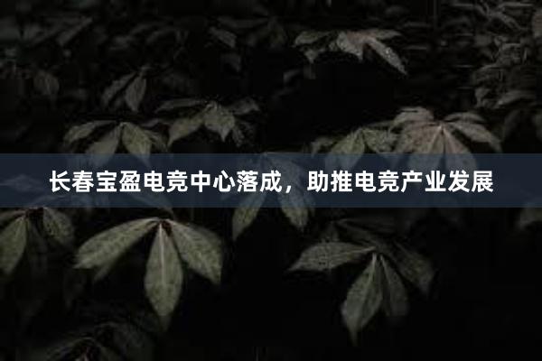 长春宝盈电竞中心落成，助推电竞产业发展