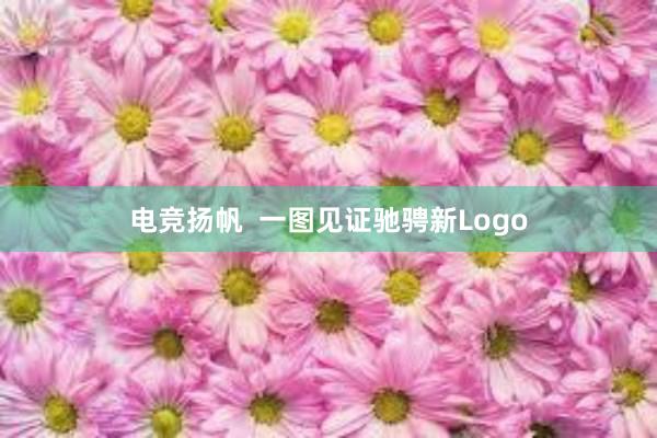 电竞扬帆  一图见证驰骋新Logo